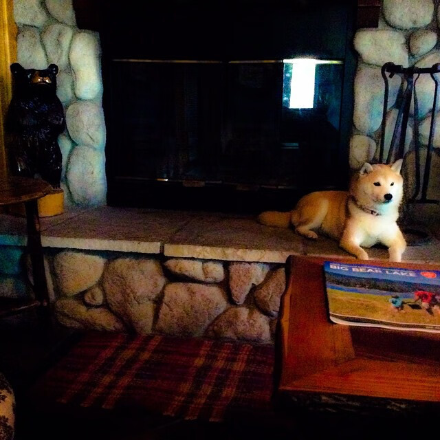 库里50分惊天神迹难救主，鹈鹕加时鏖战力克上海队