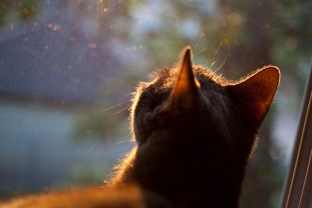 1.绿茵逆转录,摩洛哥闪电战撕裂防线,贝林厄姆魔术师般统治中场