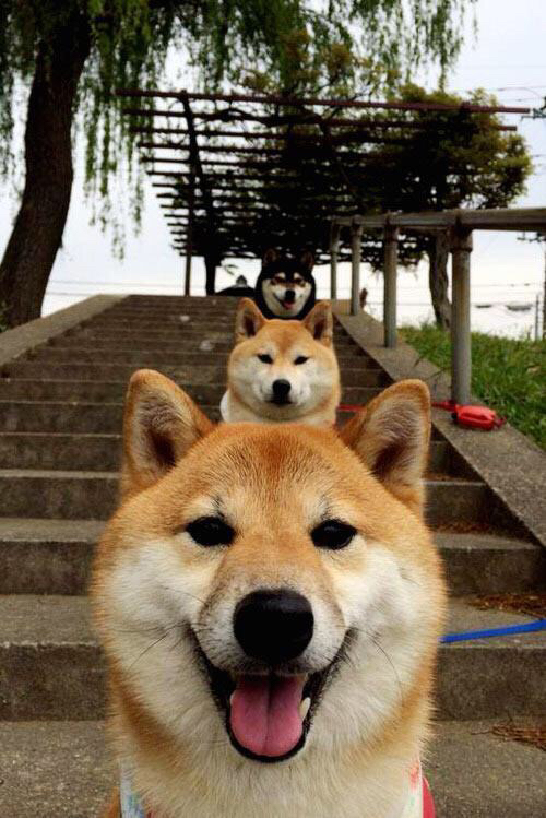 当铁血波兰撞碎太极盾牌,奥恰洛夫的火热状态与一场战术完胜