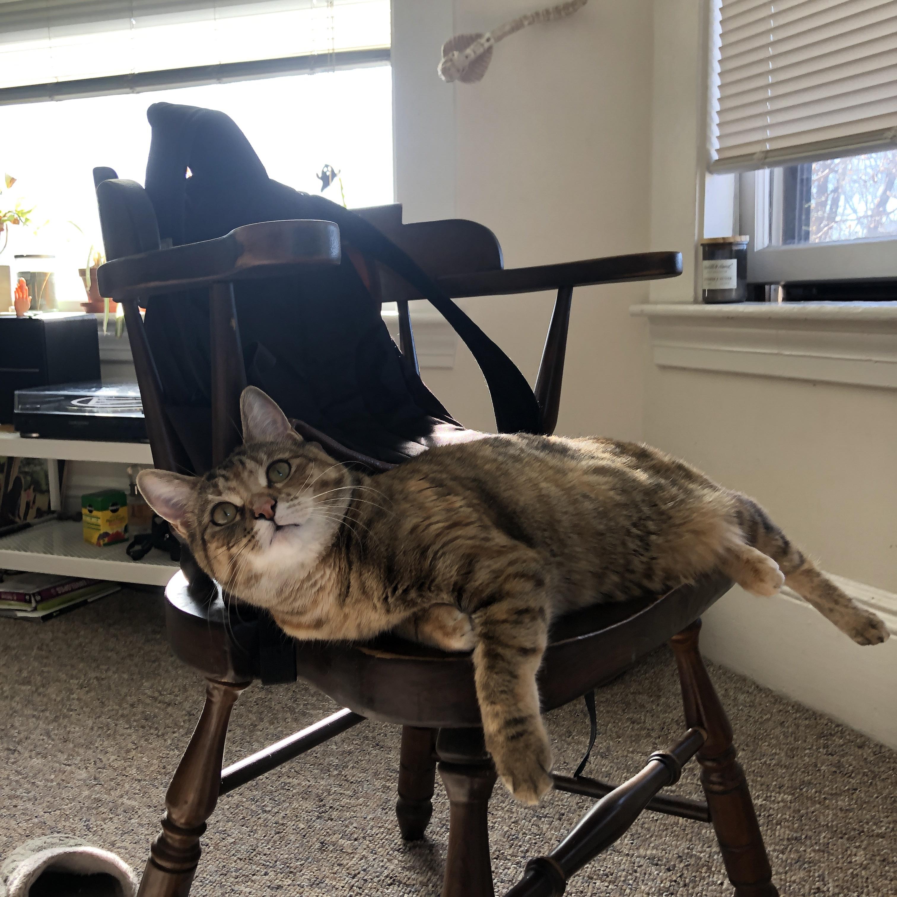 擎天之柱，范弗利特单骑救主，年度焦点之战铸就传奇