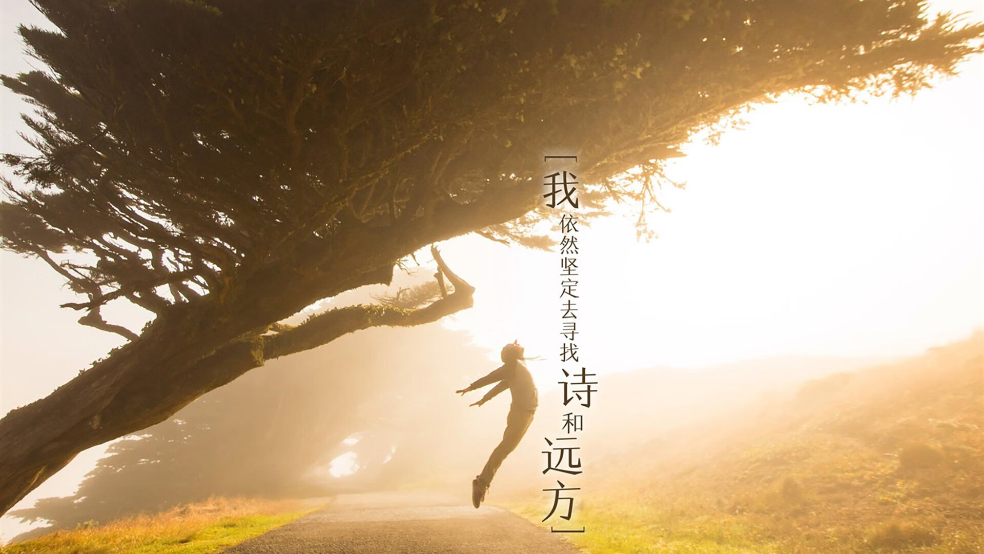 孤胆英雄定乾坤,欧冠终局,武切维奇一剑封喉改写历史