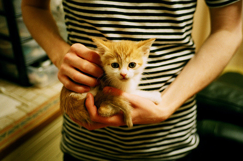 15助攻0失误!39岁詹姆斯诠释节奏大师,单节16分差打崩活塞