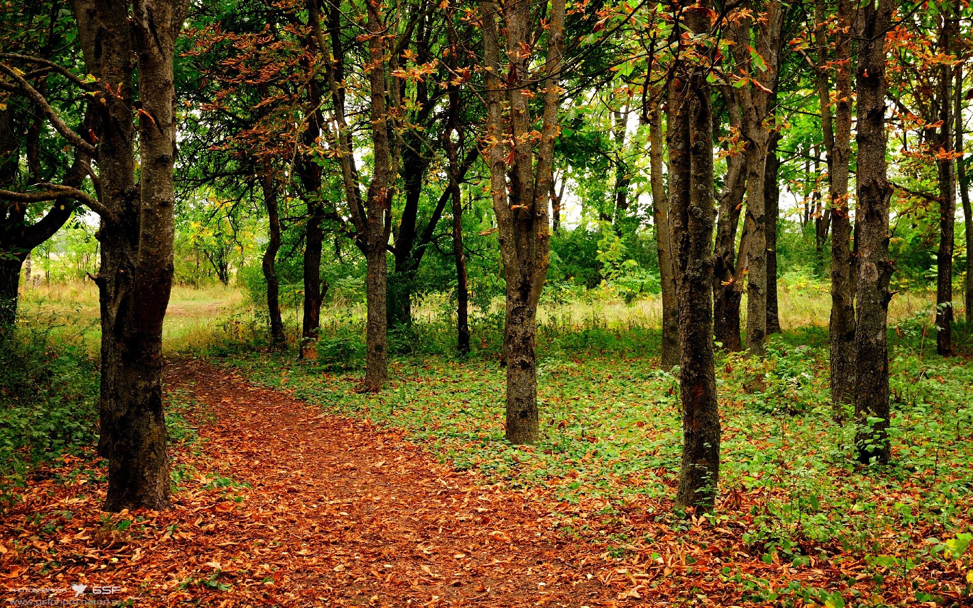 子弹时间,3.2秒,克莱-汤普森和他的永恒一秒