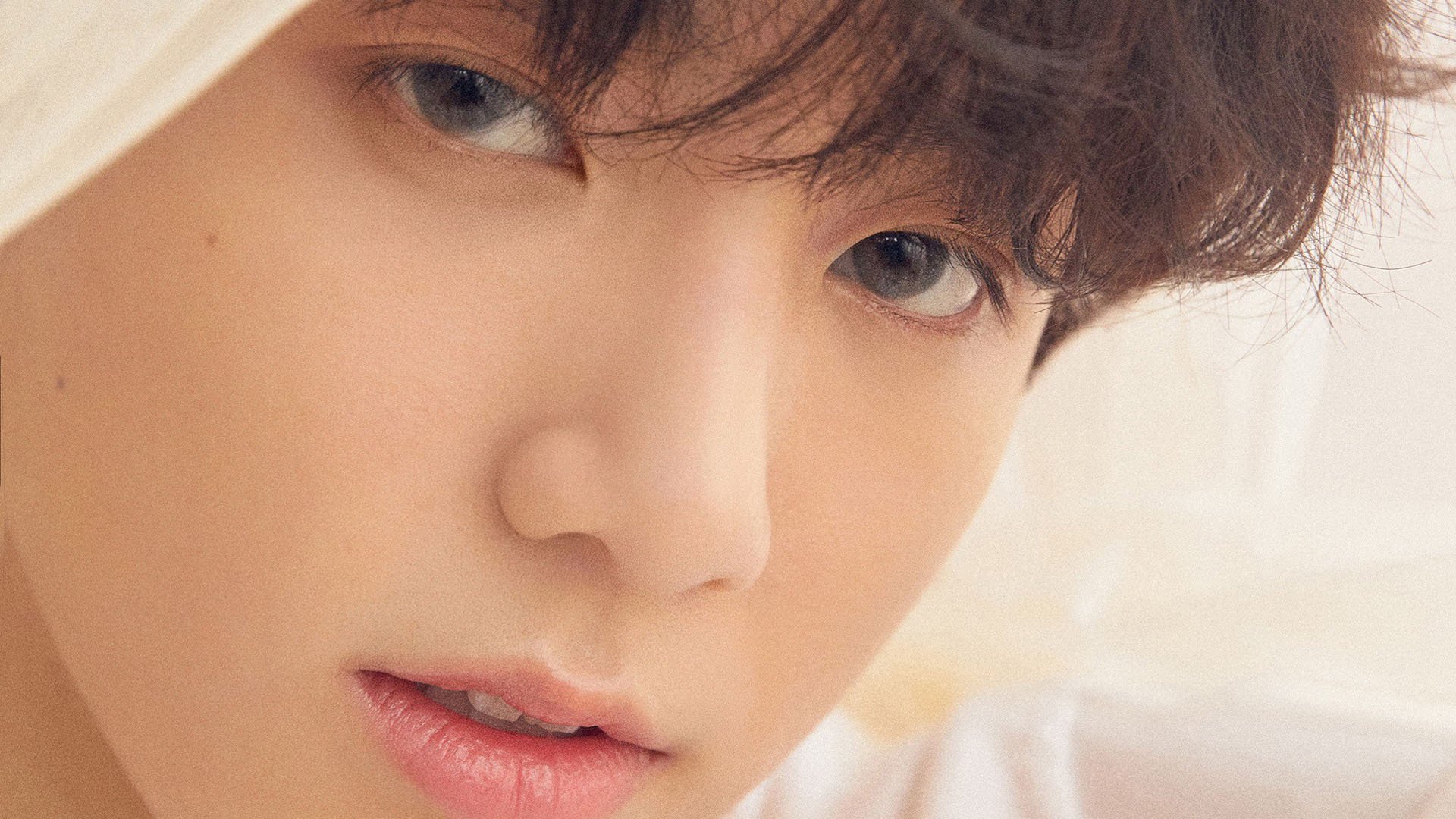 北美冰原上的双城记，当NBA总决赛遇上巴萨红蓝风暴