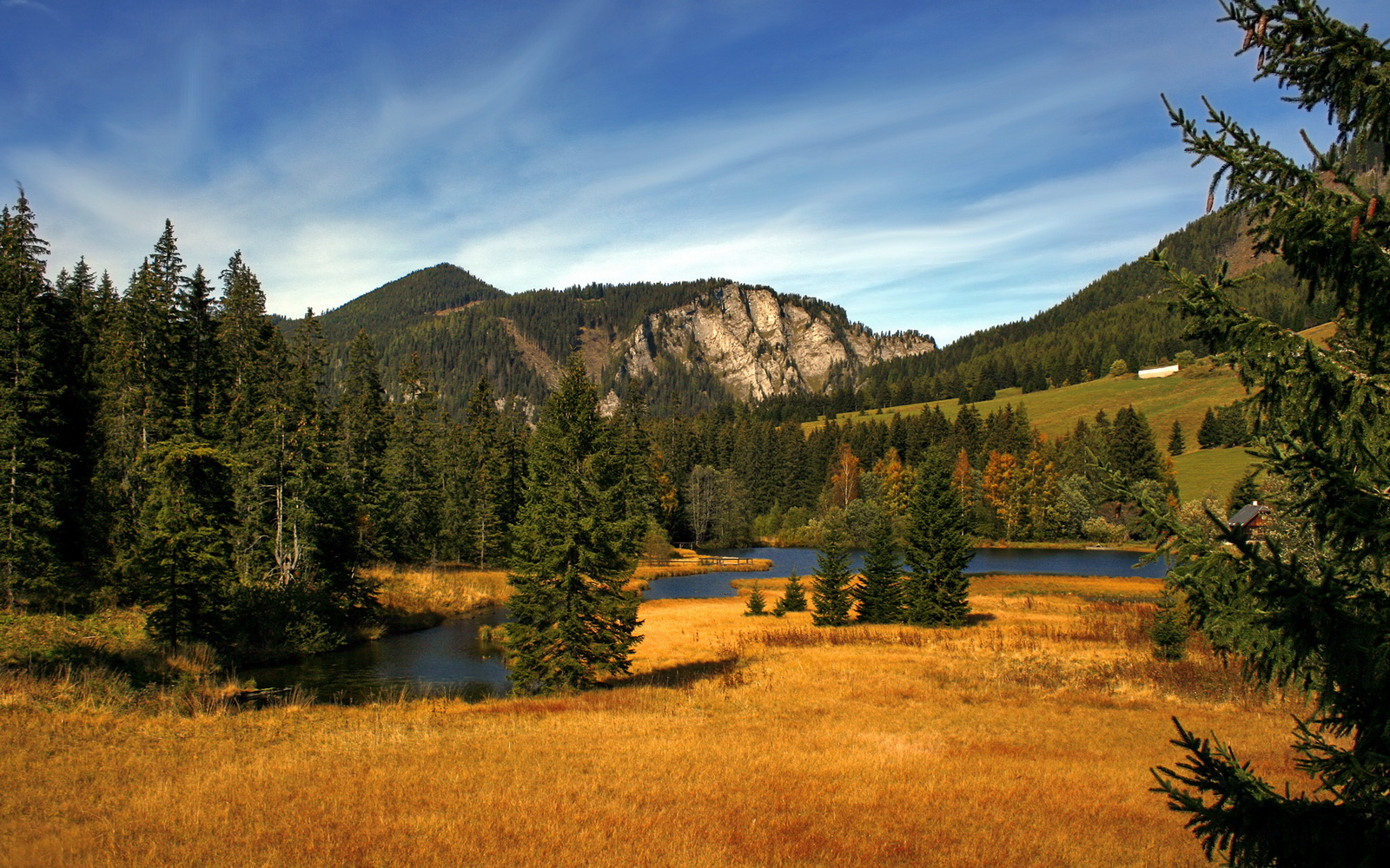 从边缘到核心，布鲁诺生涯之夜点燃亚特兰大瑞士奇迹