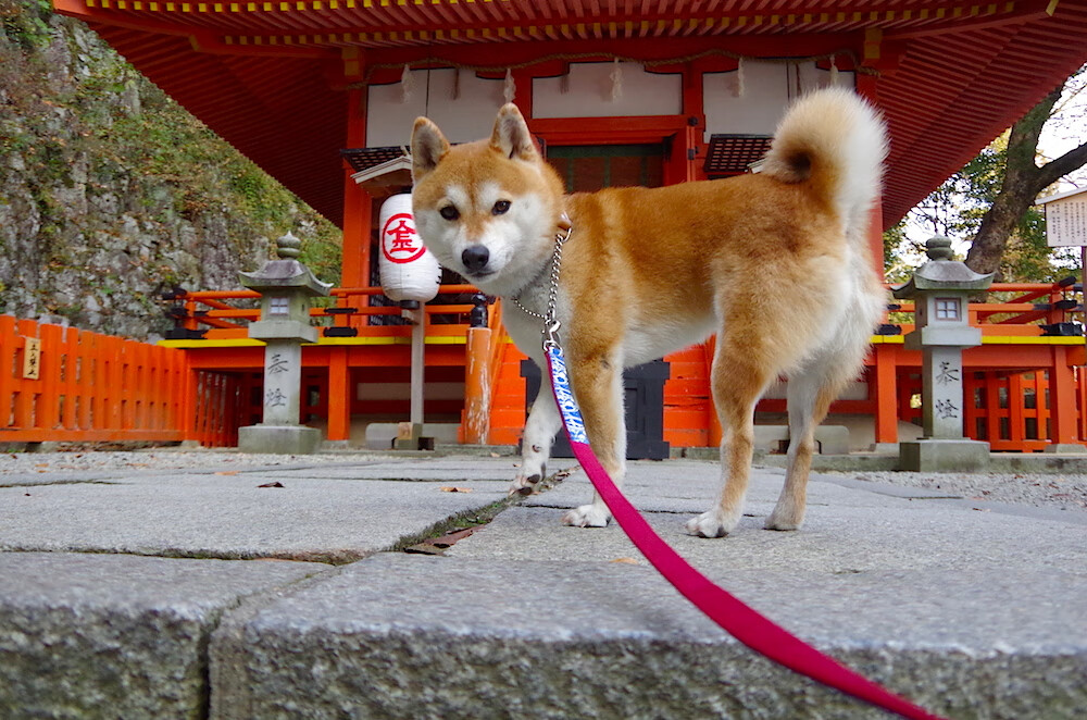 阿什拉夫·哈基米，压制级发挥引领巴黎圣日耳曼力克莱比锡红牛