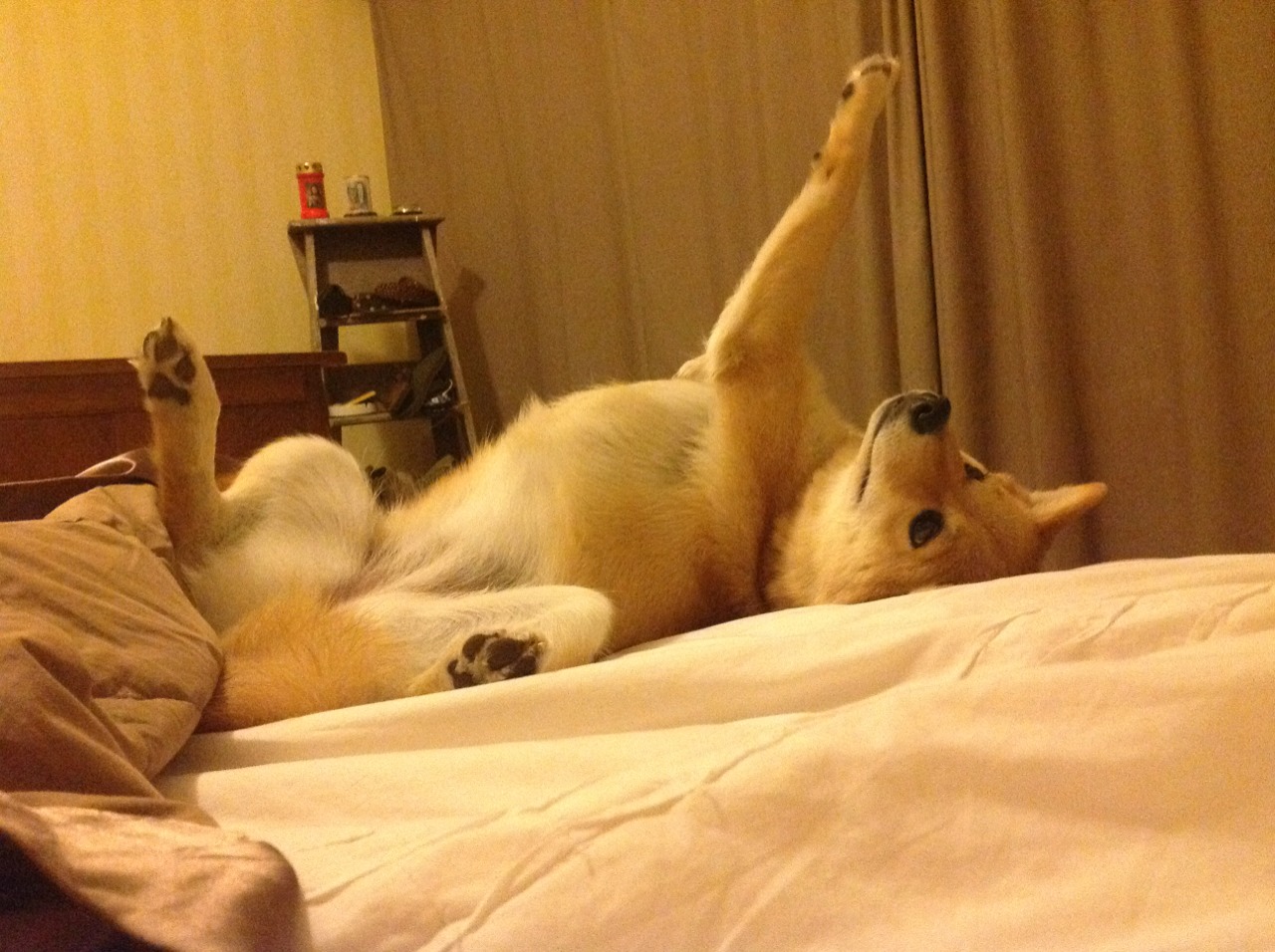 跨界王座，当南非足球洪流冲垮牙买加雷霆，加维于东决之巅接管战场