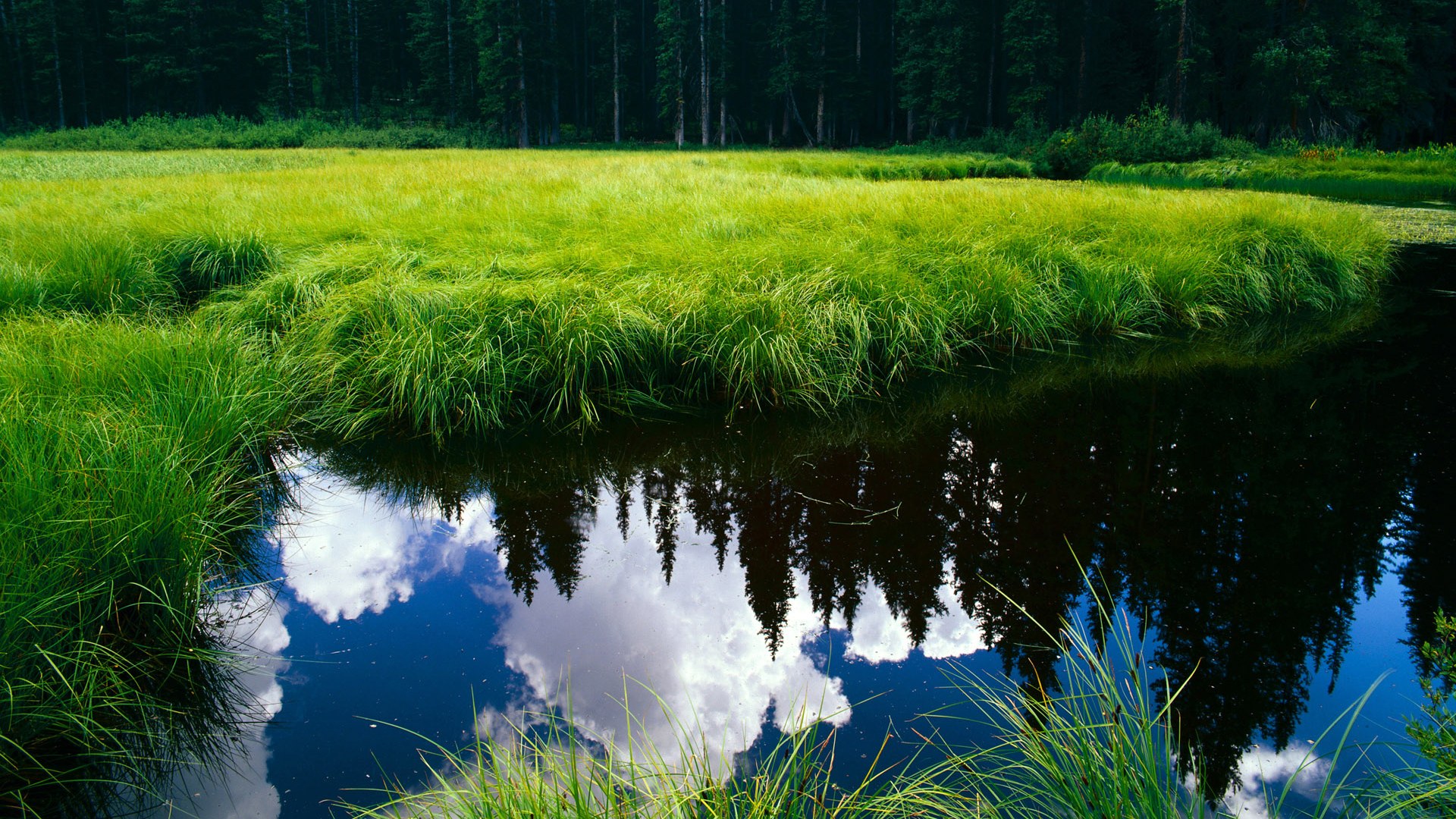 非典型英雄，隐形斗篷下的拉什福德，如何在马赛生死战中解锁法国密码