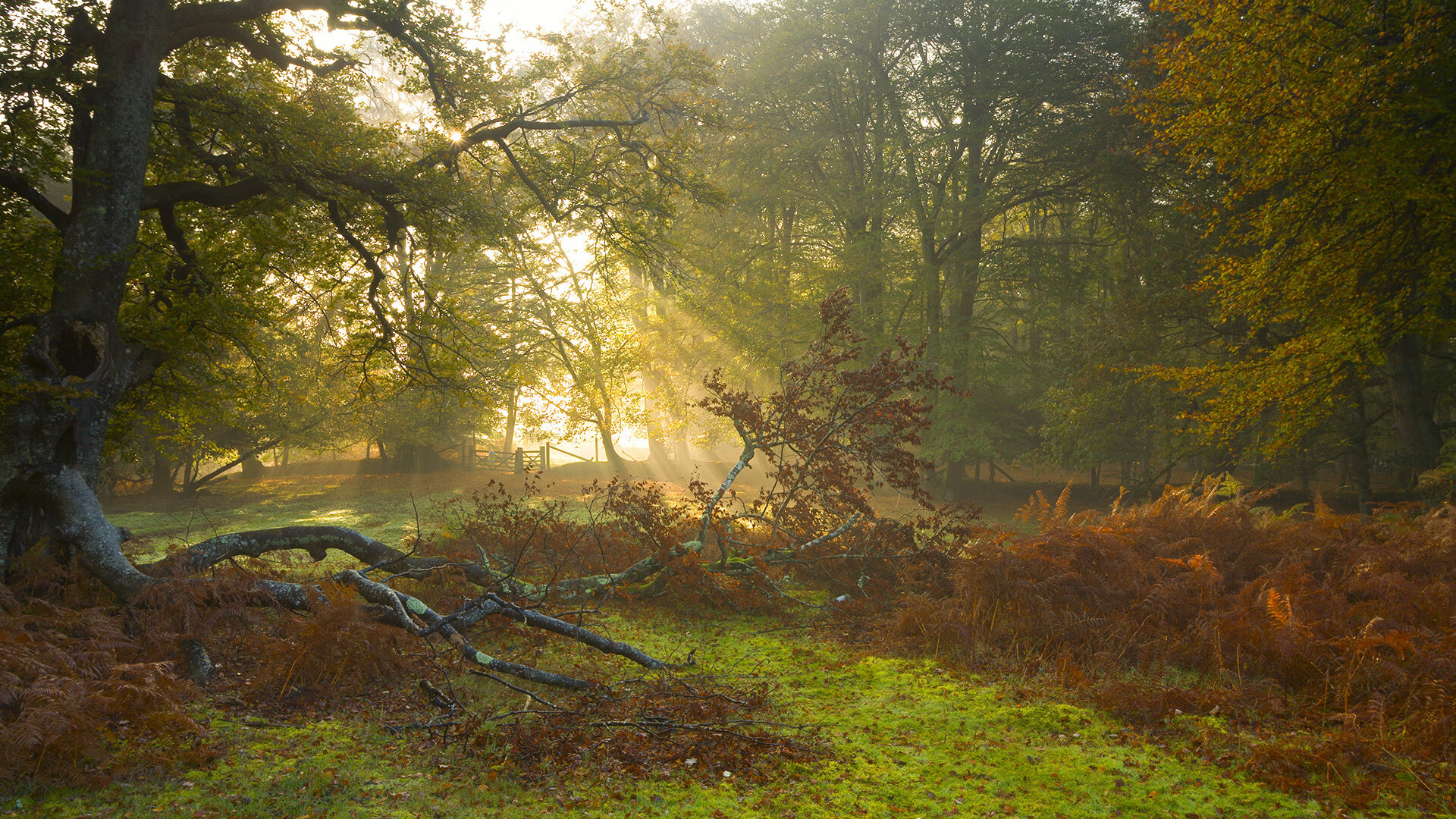 终极引爆，法国冥府行动如何强行终结厄瓜多尔的布雷默计划