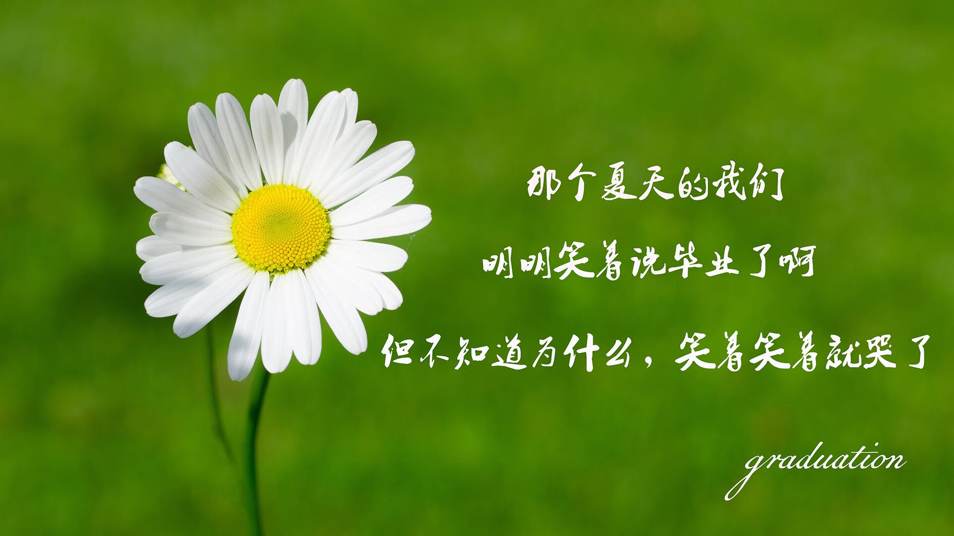 塔雷米的独舞，2026世界杯D组焦点战，葡萄牙三球逆转荷兰的隐形密钥