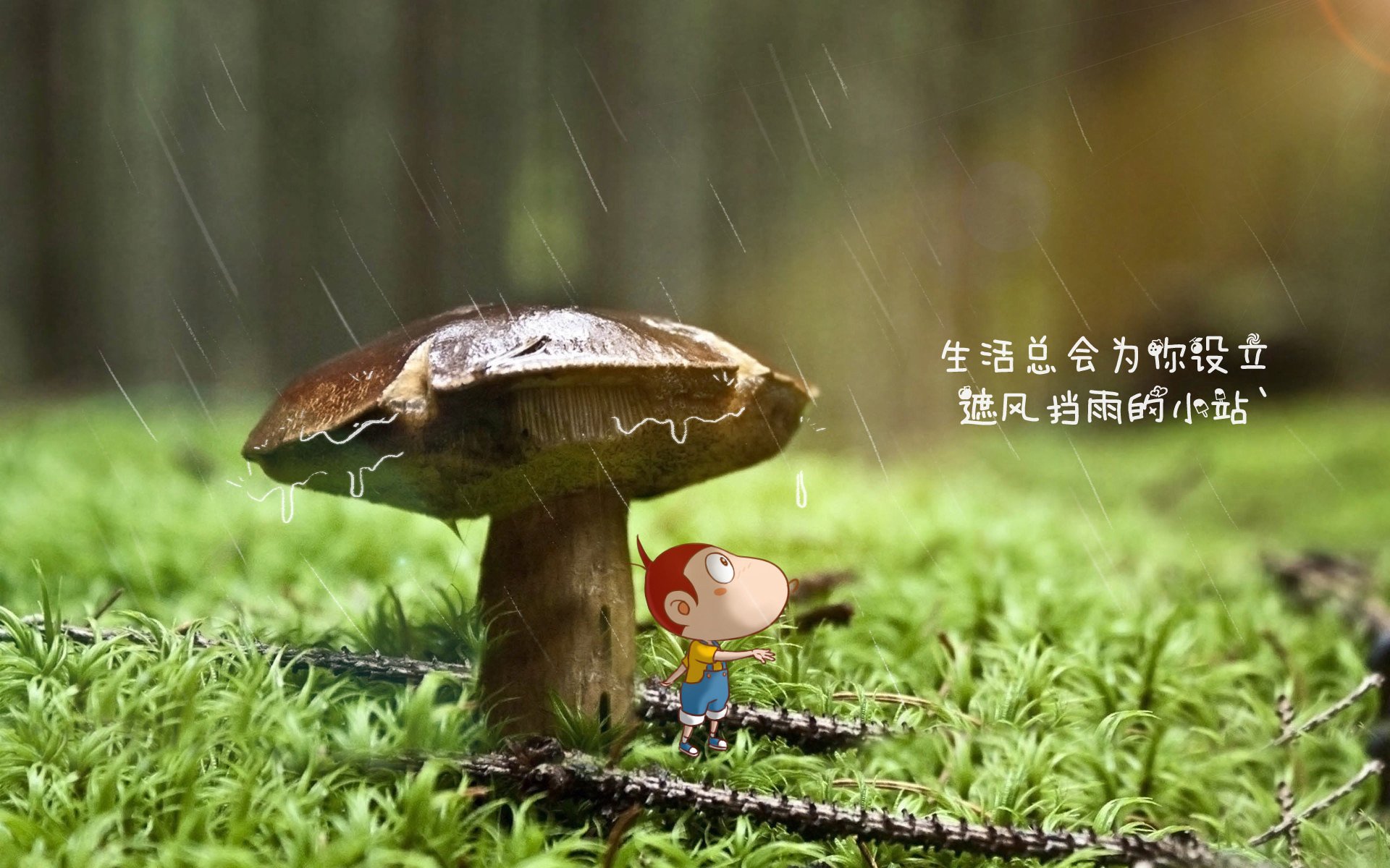 北欧冰锋破高卢，哈兰德定音，波兰中场铁幕锁死法兰西