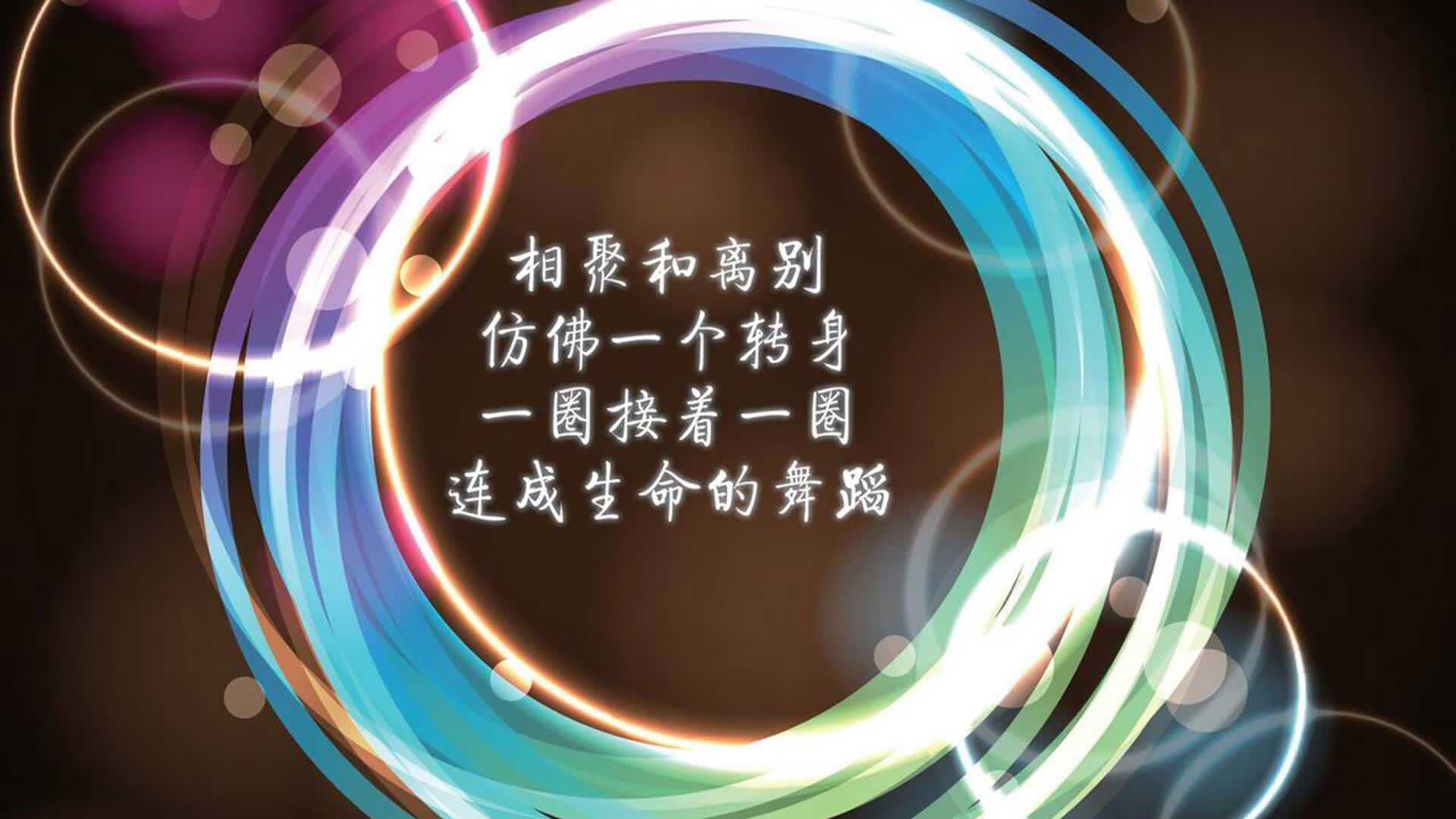 绝境中的璀璨，2026世界杯D组强强对话，葡萄牙力克厄瓜多尔，福登闪耀全场，进攻犀利破解南美铁壁