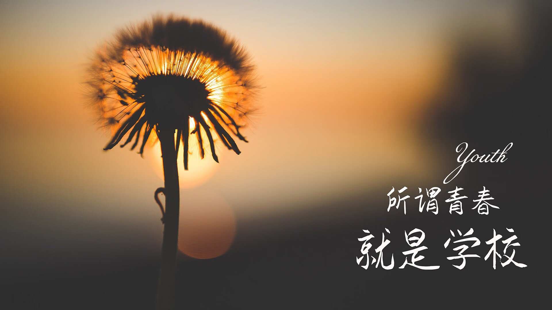 冰川与热带的交响,2026,托纳利在北纬66度书写南柯一梦
