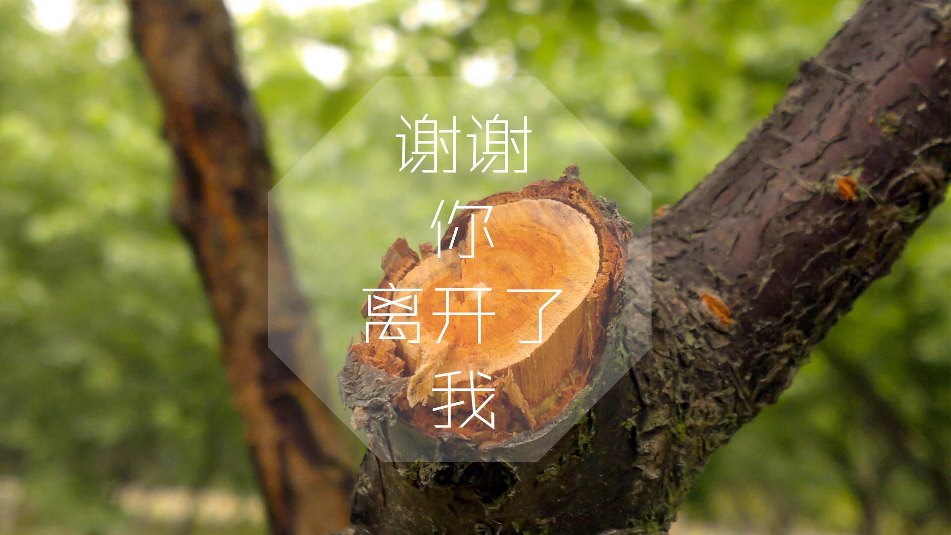 逆火重燃,2026世界杯A组,摩洛哥完胜罗马尼亚,吉鲁以一己之力书写逆转传奇
