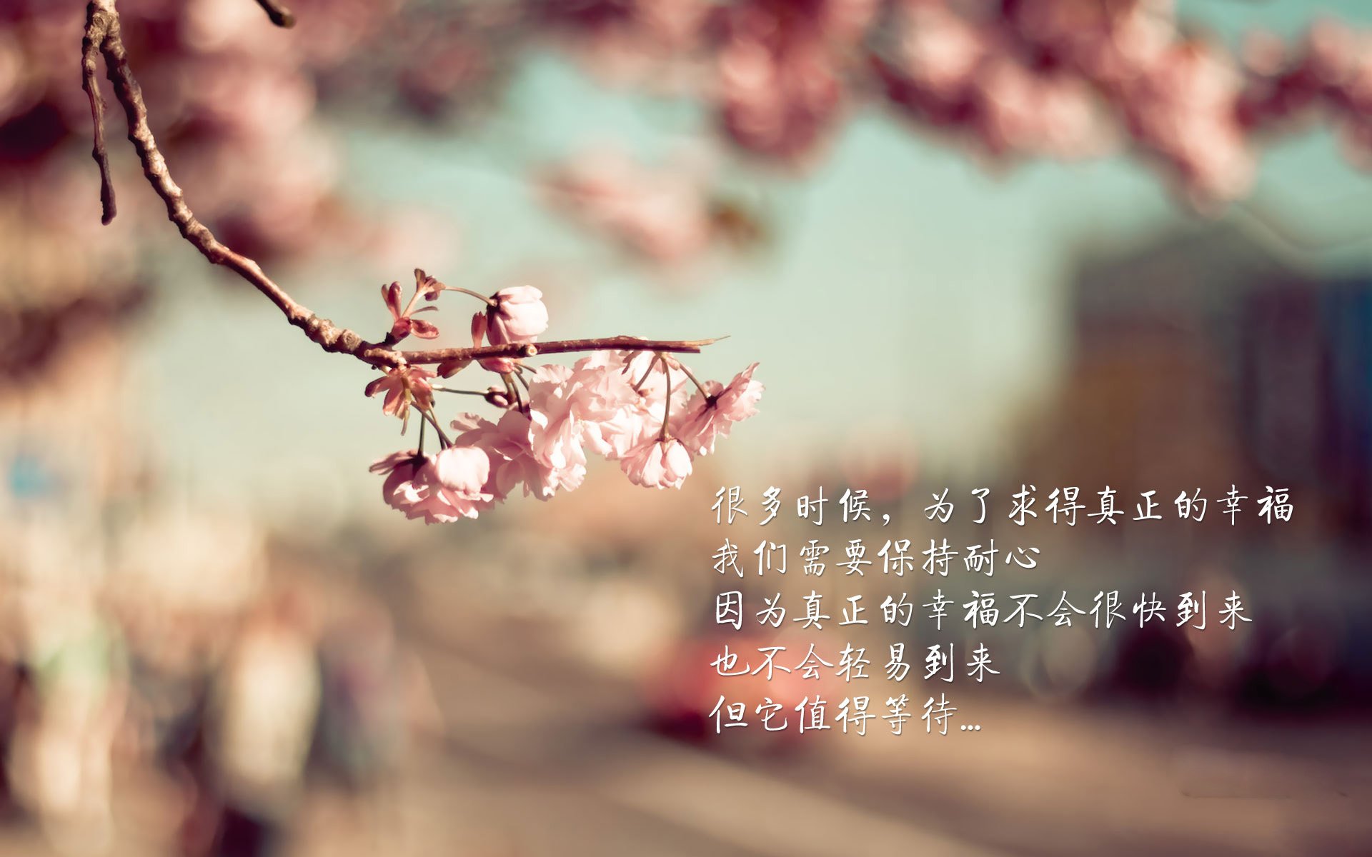 柏林之夜的孤星,福登与德意志的宿命绝唱
