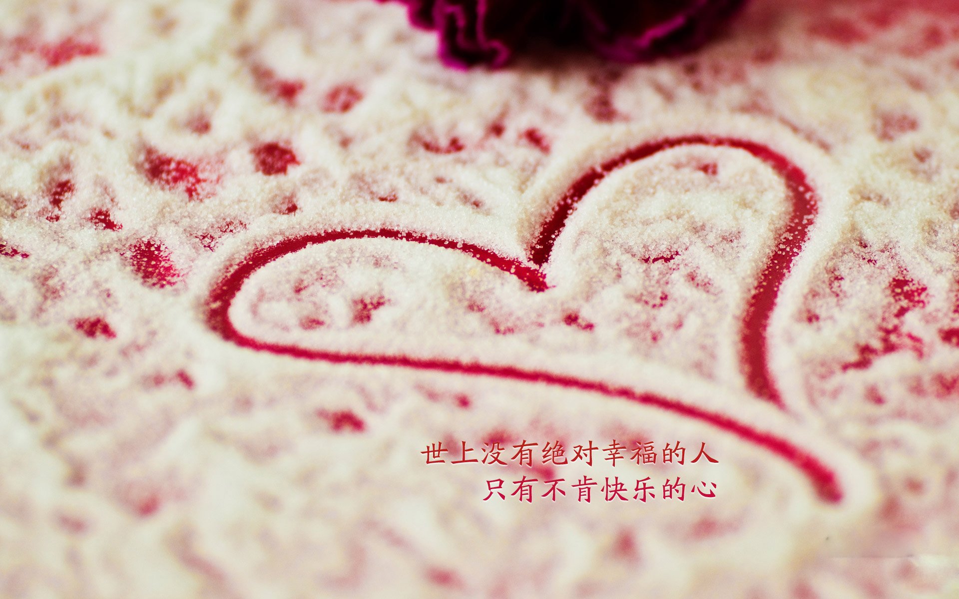 九十分钟的孤勇,当厄瓜多尔高原之鹰折翼,卢卡库用血肉之躯凿穿命运