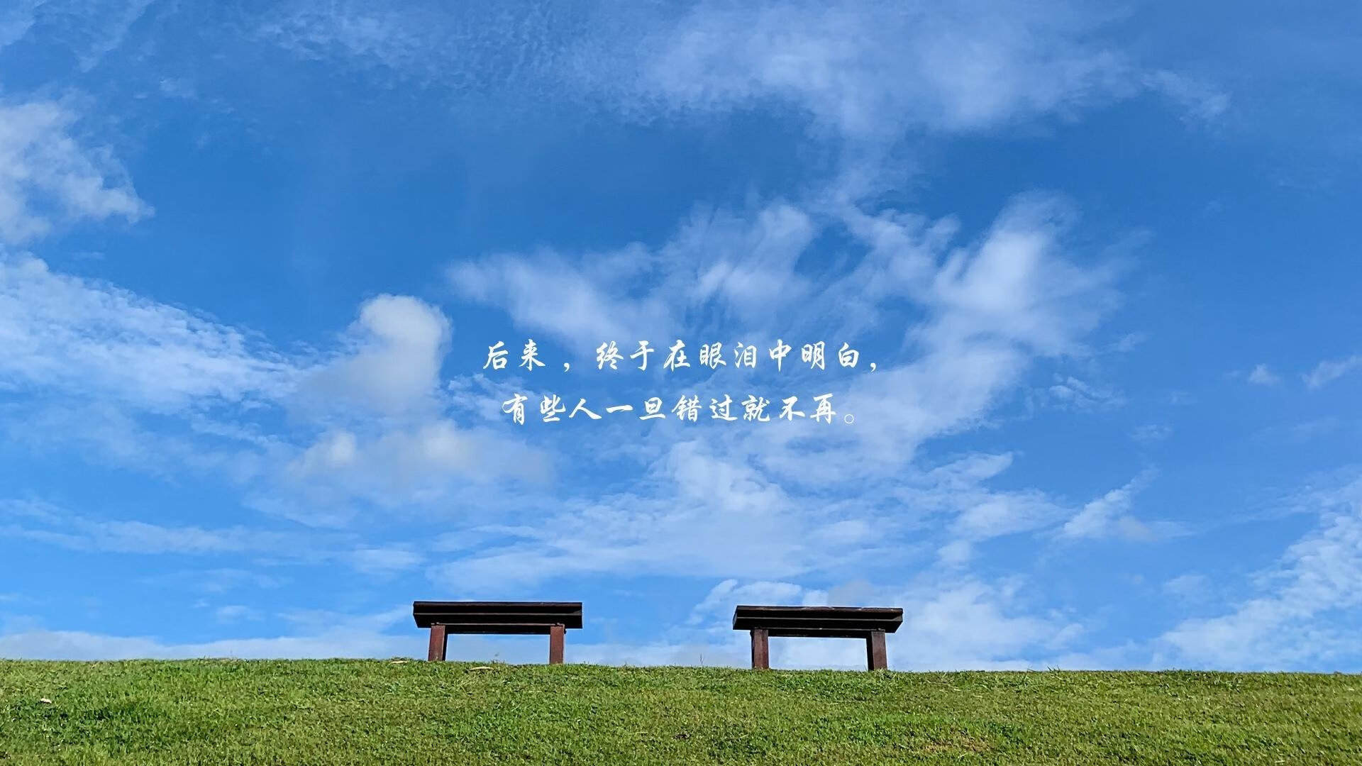 橙衣之殇,佩德里撕裂罗马尼亚防线,2026世界杯D组上演技术流碾压