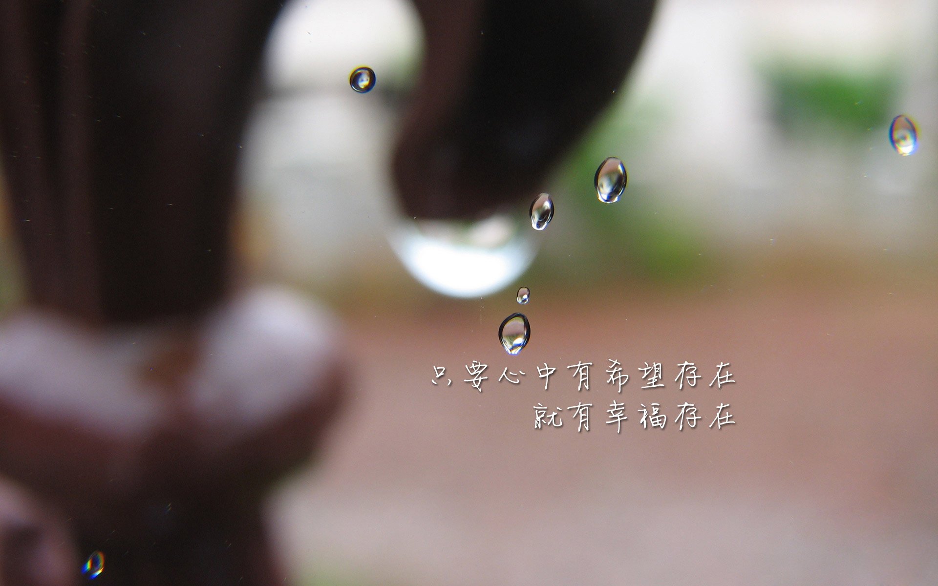 秩序与变数，2026世界杯A组，当坎塞洛的精准长传瓦解了印度的天才狂想