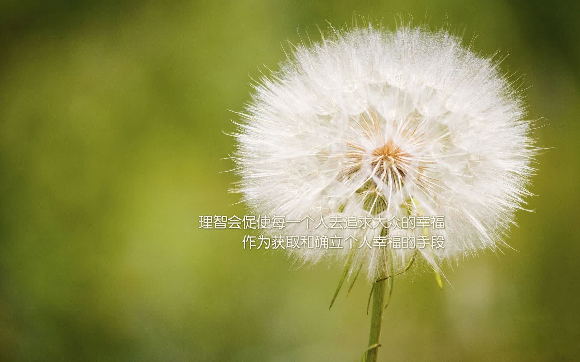 德黑兰的日耳曼之心，京多安以名铸剑，伊朗在2026世界杯B组撕碎波兰铁骑